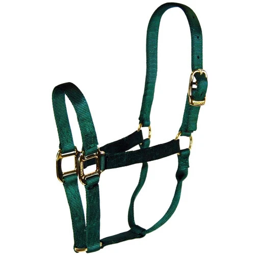 Hamilton Quality 1" Nylon Halter 3 Hamilton Quality 1" Nylon Halter