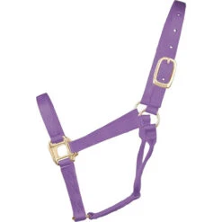 Hamilton Quality 1" Nylon Halter 16 Hamilton Quality 1" Nylon Halter -Weaver Leather Store quality 1in nylon halter lavender 1Q AVLV hamilton 15621.1685665710
