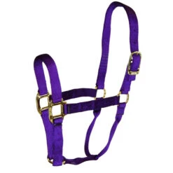 Hamilton Quality 1" Nylon Halter 12 Hamilton Quality 1" Nylon Halter -Weaver Leather Store quality 1in nylon halter purple 1Q hamilton 55697.1685665730