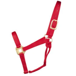 Hamilton Quality 1" Nylon Halter 19 Hamilton Quality 1" Nylon Halter -Weaver Leather Store quality 1in nylon halter red 1Q hamilton 12014.1685665705