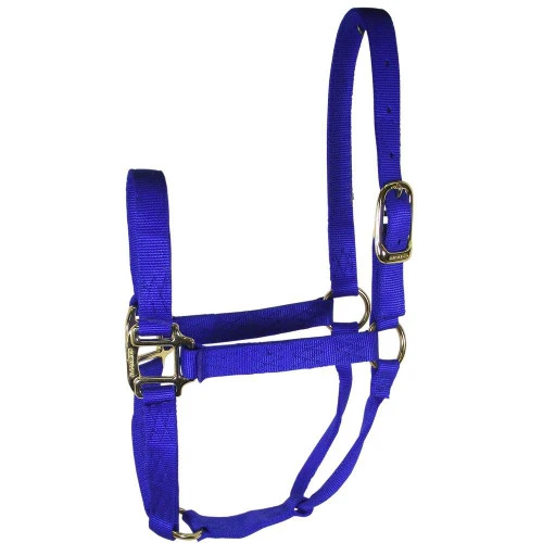 Hamilton Quality 1" Nylon Halter 7 Hamilton Quality 1" Nylon Halter - Image 5
