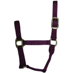 Hamilton Quality 1" Nylon Halter 14 Hamilton Quality 1" Nylon Halter -Weaver Leather Store quality 1in nylon halter wine 1QWN hamilton 54194.1685665738