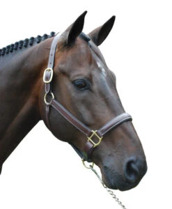 Red Barn Kate Fancy Stitch Halter -Weaver Leather Store red barn kate halter brown brass W kl select 63727.1682796912