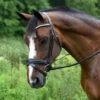 Red Barn Pace Snaffle Bridle