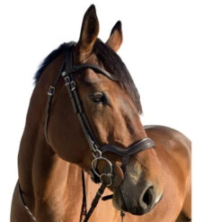 Halter Ego Remington Anatomical Jumper Bridle -Weaver Leather Store remington bridle brown right halter ego 33128.1687997744