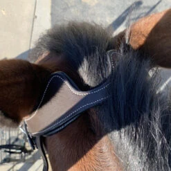 Halter Ego Remington Anatomical Jumper Bridle -Weaver Leather Store remington bridle crown halter ego 46060.1687997799