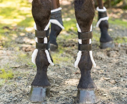 Euro Pro Rex Open Front Boot 4 Euro Pro Rex Open Front Boot - Image 2