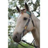 Circle Y Rising Sunflower Brow Headstall -Weaver Leather Store rising sunflower brow hs brown multicolor lifestyle 1002 10 SC circle y 38157.1613178603