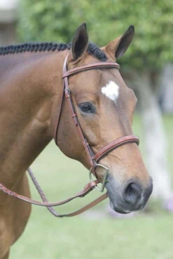 Rodrigo Fancy Stitch Padded Wide Noseband Show Bridle 5 Rodrigo Fancy Stitch Padded Wide Noseband Show Bridle -Weaver Leather Store rodrigo fancy stitch padded wide noseband show bridle 2 22247 44333.1527306437
