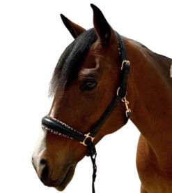 Halter Ego Safari Halter -Weaver Leather Store safari halter brown halter ego 37979.1682706133