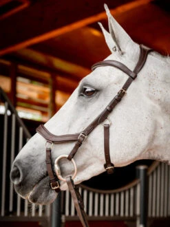 Horseware Ireland Horseware Micklem 2 Competition Bridle -Weaver Leather Store sbmom0 nab0 horseware micklem 2 competition bridle 4 37008.1689872573