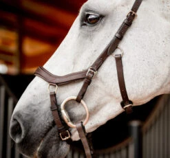 Horseware Ireland Horseware Micklem 2 Competition Bridle -Weaver Leather Store sbmom0 nab0 horseware micklem 2 competition bridle 5 82911.1689872569