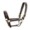 Walsh Signature Pony Halter -Weaver Leather Store signature halter havana brown brass walsh 17538.1557953983