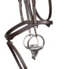 Signature By Antarès Training Bridle 1 Signature By Antarès Training Bridle -Weaver Leather Store signature training bridle brown cheek with bit SIGOB BRD2 antares 84353.1674091349