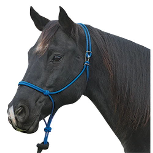 Silvertip Rope Halter With Clip 4 Silvertip Rope Halter With Clip - Image 2
