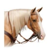 Professional's Choice Single Rein German Martingale 2 Professional's Choice Single Rein German Martingale -Weaver Leather Store single rein german martingale heavy oil W RH GM1 pro choice 82056.1651272886