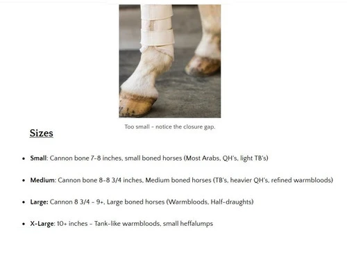 Euro Pro Askan Tall Hind Boot 7 Euro Pro Askan Tall Hind Boot - Image 5