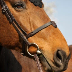 In Horse We Trust Soft T Noseband With Flash -Weaver Leather Store soft t noseband havana side SOFT T NOSEBAND in horse we trust 09753.1658872130