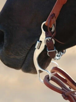 Classic Equine Stainless Steel Short Shank Correction Bit