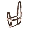 Waldhausen Star Mix Halter -Weaver Leather Store star mix halter brown rose gold 50436330 waldhausen 89090.1657589765