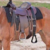 Cashel Step Up Stirrup -Weaver Leather Store step up stirrup black saddle SOS chasel 67097.1674772523