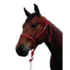 Double Diamond 100 Stiff Rope Halter -Weaver Leather Store stiff rope halter 100 red double diamond 46964.1635013220