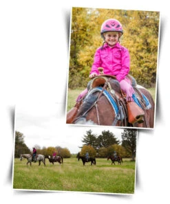 BOOMA Rein Safety Rein -Weaver Leather Store story 18086 04407.1527296824