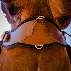StretchTec Shoulder Relief Cinch 11 StretchTec Shoulder Relief Cinch -Weaver Leather Store stretchtec shoulder relief cinch brown on horse ST SRC 28 BRN BLN total saddle fit 28912.1634504248