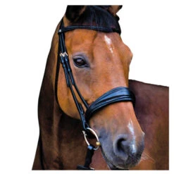 Stubben Switch Snaffle+Weymouth Bridle