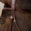 KL Select Tucson Bridle 1 KL Select Tucson Bridle -Weaver Leather Store tucson bridle crown side kl select 79645.1671503452