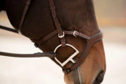 KL Select Tucson Bridle -Weaver Leather Store tucson bridle cavesson cheek side kl select 43914.1671503440
