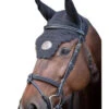 Jump'in Tuesday Flash Bridle 1 Jump'in Tuesday Flash Bridle -Weaver Leather Store tuesday flash bridle black BWT CO AC F jumpin 67971.1645561288