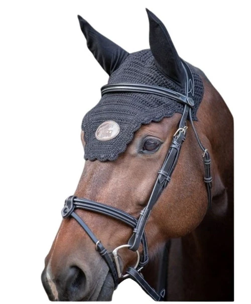 Jump'in Tuesday Flash Bridle 3 Jump'in Tuesday Flash Bridle