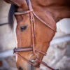 PÉNÉLOPE Pénélope US Bridle -Weaver Leather Store us bridle hazelnut 301 602 318 penelope 31395.1688760854