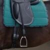 Passier Velvet Touch Mono Stirrup Leathers -Weaver Leather Store velvet touch mono leather saddle 030 passier 36176.1684543409