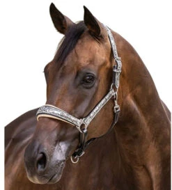 Halter Ego Venetian Floral Halter -Weaver Leather Store venetian floral halter slvr crm halter ego 46536.1682705257