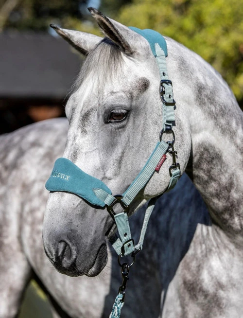 LeMieux Vogue Halter And Lead Rope 3 LeMieux Vogue Halter And Lead Rope