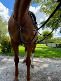 DziaSport Yoke -Weaver Leather Store yoke brown on horse dziasport 04180.1686880170