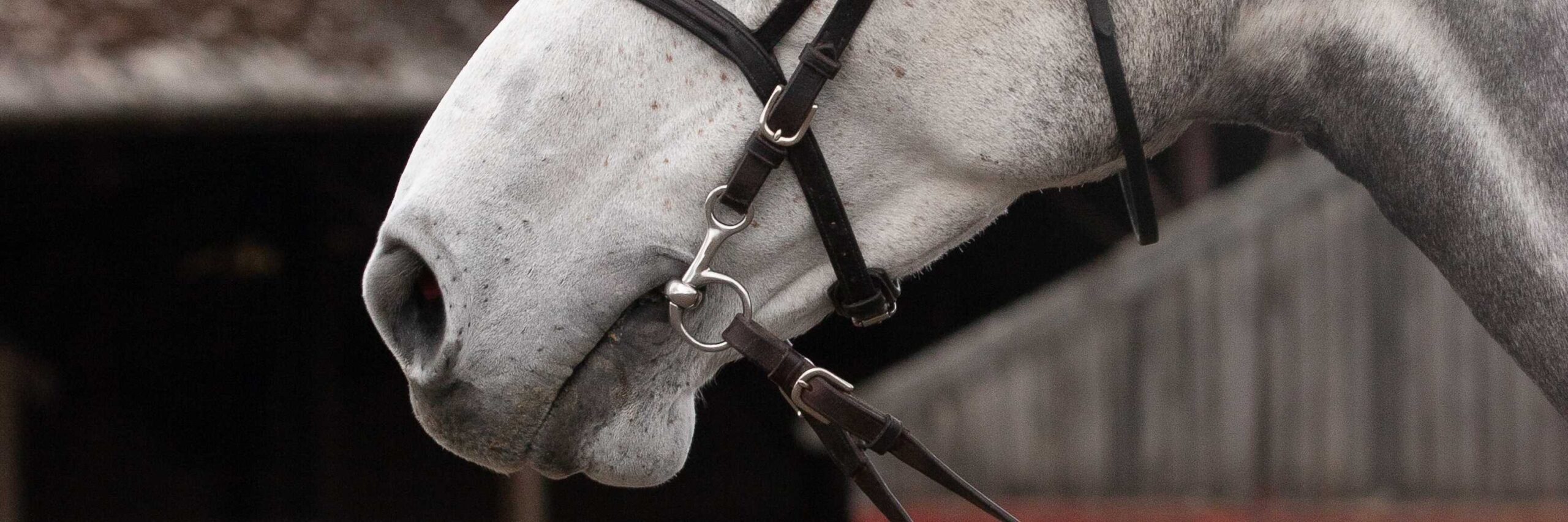 Front Page -Weaver Leather Store banner670 scaled